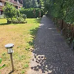 Wald Und Felsen - * Ludwigswinkel