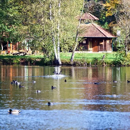 Wald Und Felsen - Ludwigswinkel