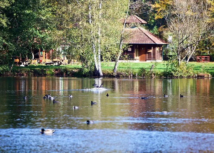 Wald Und Felsen - Ludwigswinkel