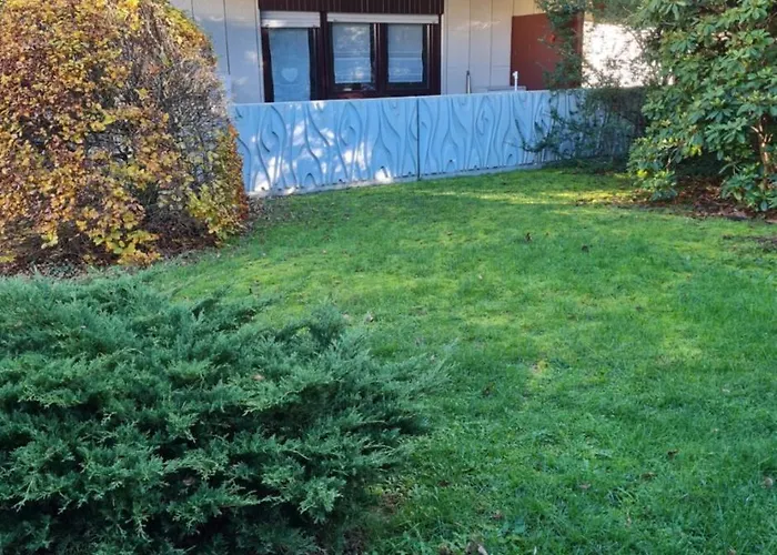 Wald Und Felsen - Ludwigswinkel